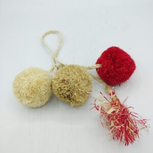 Nessuna immagine impostata 