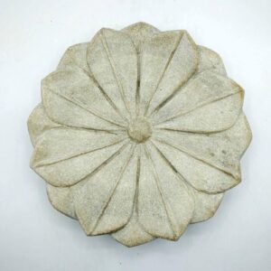 CIOTOLA FIOR DI LOTO MEDIA